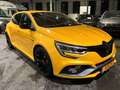 Renault Megane IV R.S. Trophy Yellow - thumbnail 10