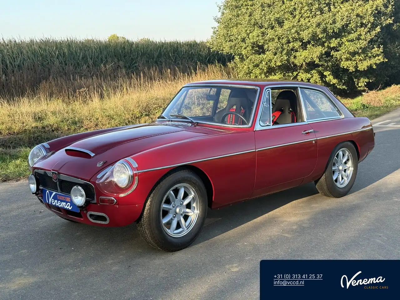 MG B GT V8, foto 1