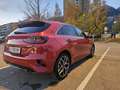 Kia Ceed / cee'd ceed 1,5 TGDI Gold 48V DCT Gold Rot - thumbnail 4