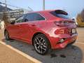 Kia Ceed / cee'd ceed 1,5 TGDI Gold 48V DCT Gold Rot - thumbnail 6