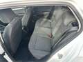 Volkswagen Golf Golf VIII 2020 2.0 tdi Life 115cv Bianco - thumbnail 7