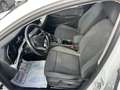 Volkswagen Golf Golf VIII 2020 2.0 tdi Life 115cv Bianco - thumbnail 8