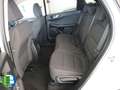 Ford Kuga Titanium 2.5 FHEV 140 kW (190 CV) Blanco - thumbnail 22