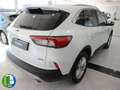 Ford Kuga Titanium 2.5 FHEV 140 kW (190 CV) Blanco - thumbnail 12