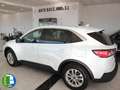 Ford Kuga Titanium 2.5 FHEV 140 kW (190 CV) Blanco - thumbnail 9
