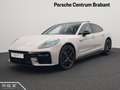 Porsche Panamera 4 E-Hybrid - thumbnail 1