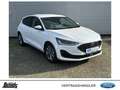 Ford Focus 1.0 EcoBoost Hybrid TITANIUM Weiß - thumbnail 1