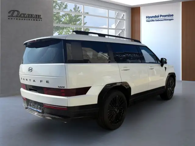 Hyundai Santa Fe view 3