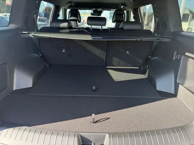 Hyundai Santa Fe view 12