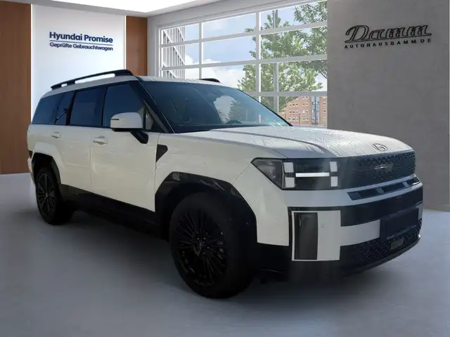 Hyundai Santa Fe view 2