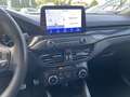 Ford Focus 1.5 EcoBlue 120 CV SW ST-Line Grigio - thumbnail 12
