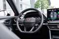 CUPRA Formentor 2.0 TSI 4DRIVE Sennheiser Pano 360 Akrapovic Grau - thumbnail 19