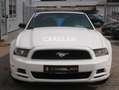 Ford Mustang 3.7 V6 Cabrio AUTOMATIK+KLIMA+TÜV NEU Blanco - thumbnail 2