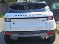 Land Rover Range Rover Evoque Range Rover Evoque D150SE - thumbnail 2