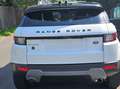 Land Rover Range Rover Evoque Range Rover Evoque D150SE - thumbnail 4