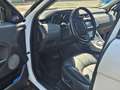 Land Rover Range Rover Evoque Range Rover Evoque D150SE - thumbnail 12