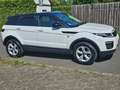 Land Rover Range Rover Evoque Range Rover Evoque D150SE - thumbnail 10