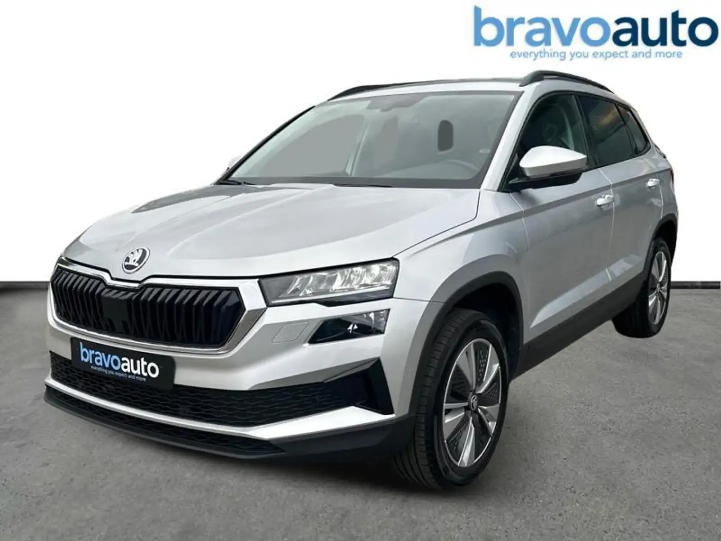 Skoda Karoq 1.5 TSI CLEVER PDC CARPLAY CAM Grau - 1