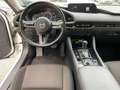 Mazda 3 4-trg. SKYACTIV-X wenig KM*Anhängerkupplung Weiß - thumbnail 10