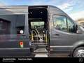 Mercedes-Benz Sprinter Transfer 45 Ledersitze Gepäckablagen Ausflugsv. Gris - thumbnail 9