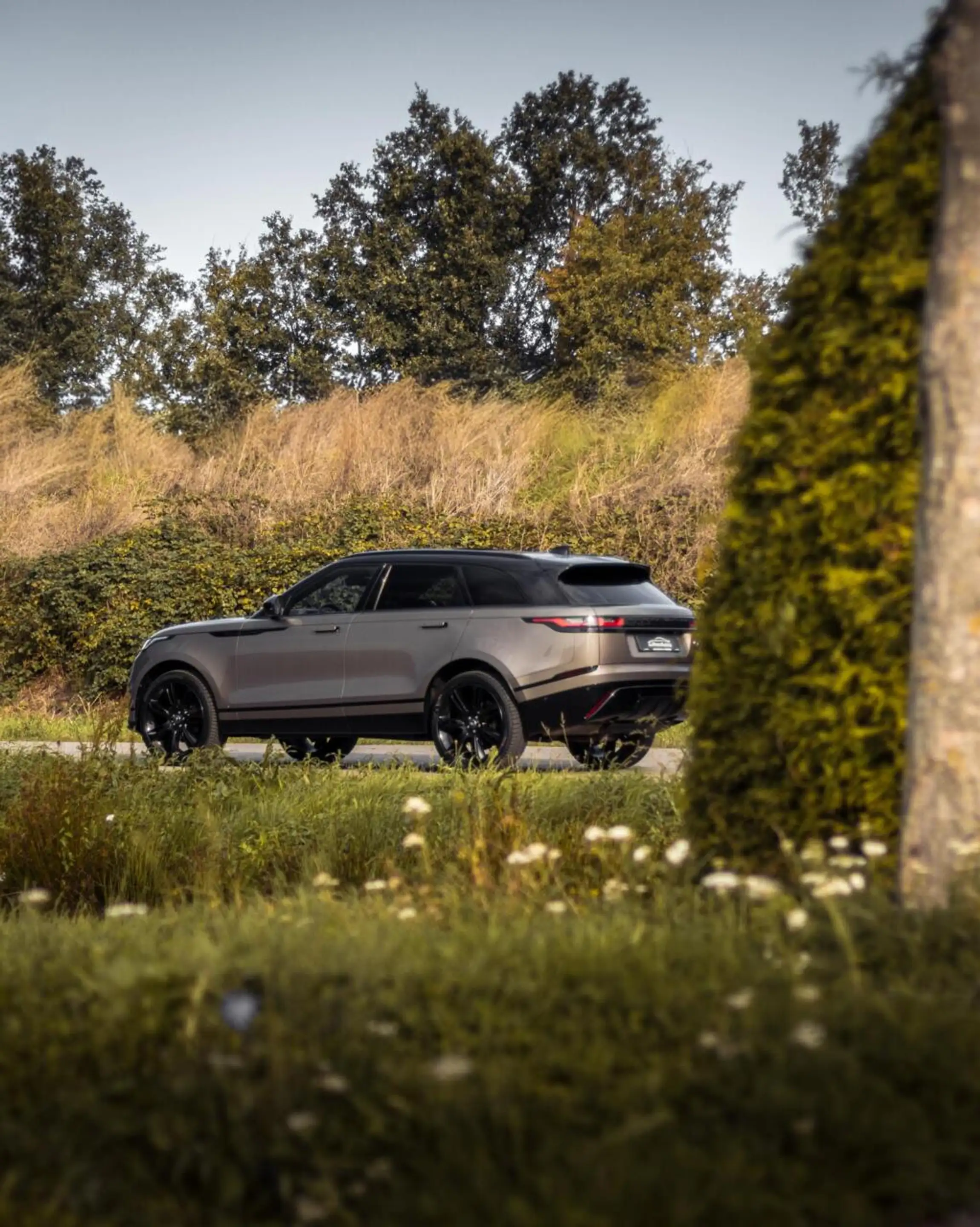 Land Rover Range Rover Velar 2.0 I4 Turbo AWD R-Dynamic HSE — photo 8