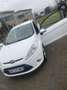 Ford Fiesta Fiesta 1.4 TDCi 70 FAP Trend - thumbnail 7