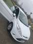 Ford Fiesta Fiesta 1.4 TDCi 70 FAP Trend - thumbnail 6