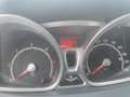 Ford Fiesta Fiesta 1.4 TDCi 70 FAP Trend - thumbnail 9