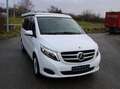 Mercedes-Benz Marco Polo V 250 Marco Polo Edition 4-Matic Küche Easy Up Blanc - thumbnail 7