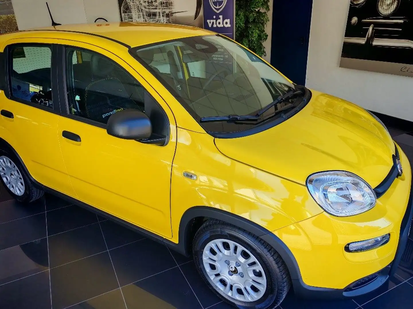 Fiat Panda 1.0 FireFly S&S Hybrid Giallo - 1