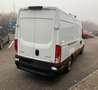 Iveco Daily Daily 35S16A8 L3H2 mit Kerstner Fahrt-/Standküh... Weiß - thumbnail 20