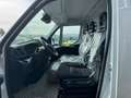 Iveco Daily Daily 35S16A8 L3H2 mit Kerstner Fahrt-/Standküh... Weiß - thumbnail 6