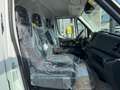 Iveco Daily Daily 35S16A8 L3H2 mit Kerstner Fahrt-/Standküh... Weiß - thumbnail 17