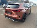 Lexus NX 450h+ 200 Bronze - thumbnail 17