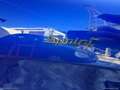 Alfa Romeo Stelvio 2.2 T.diesel 190CV AT8 Q4 Sprint Blu/Azzurro - thumbnail 6