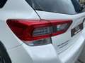 Subaru XV 2.0i Hybrid CVT Executive Plus Weiß - thumbnail 21