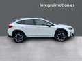 Subaru XV 2.0i Hybrid CVT Executive Plus Weiß - thumbnail 19