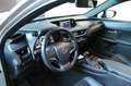 Lexus UX 250h 2.0 HYBRID 152 HP BUSINESS AUTOMATICO Argento - thumbnail 10