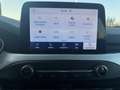Ford Focus 1.0 ecoboost h Business 125cv Argento - thumbnail 13