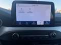 Ford Focus 1.0 ecoboost h Business 125cv Argento - thumbnail 12