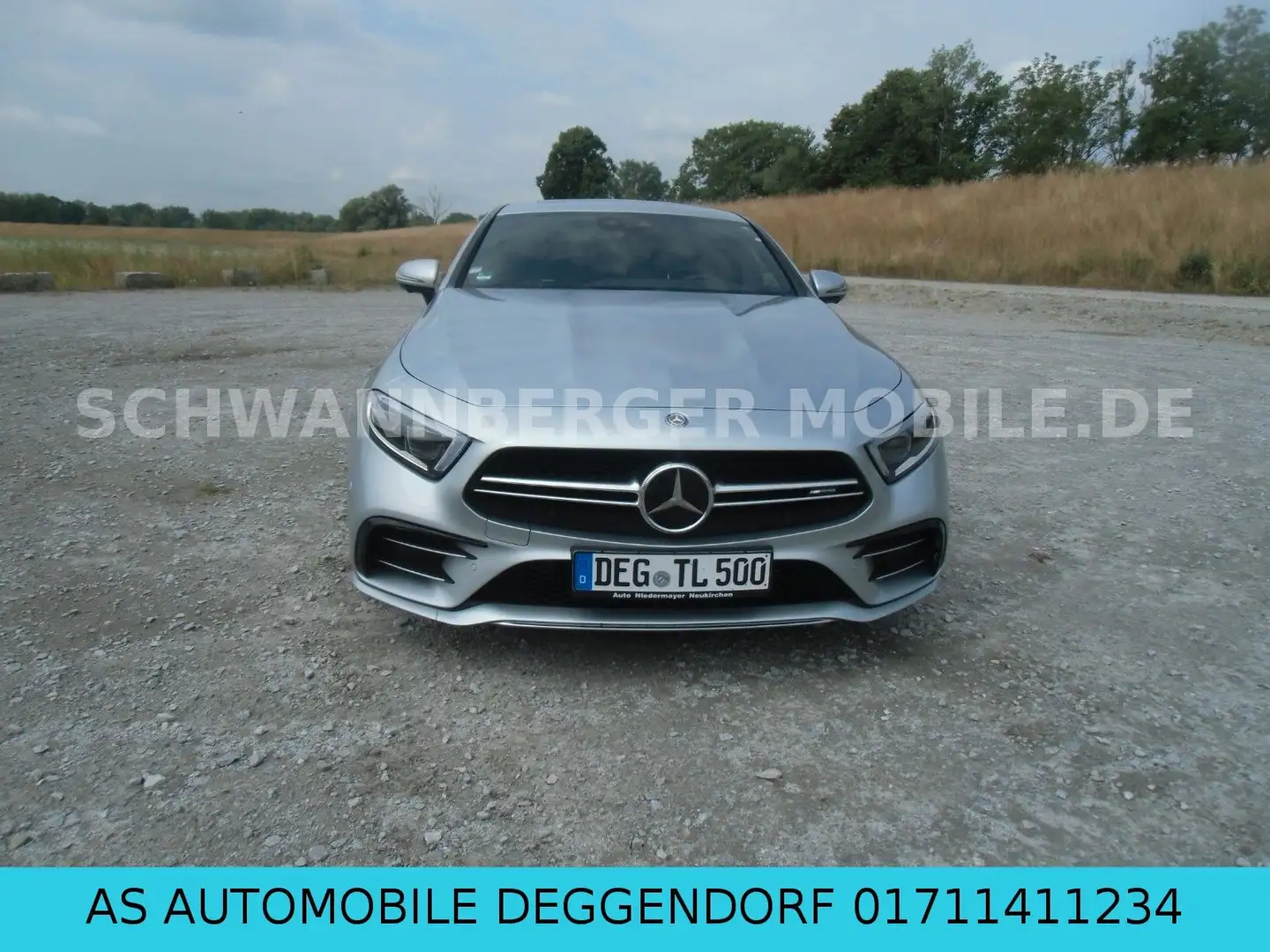 Mercedes-Benz CLS 53 AMG AMG Performance-Abgasanlage Argento - 1