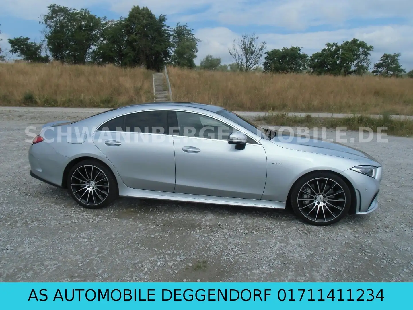 Mercedes-Benz CLS 53 AMG AMG Performance-Abgasanlage Argento - 2