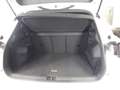 Volkswagen Tiguan 2.0 TSI R-Line 4Motion BLACK STYLE AHK DC Weiß - thumbnail 7