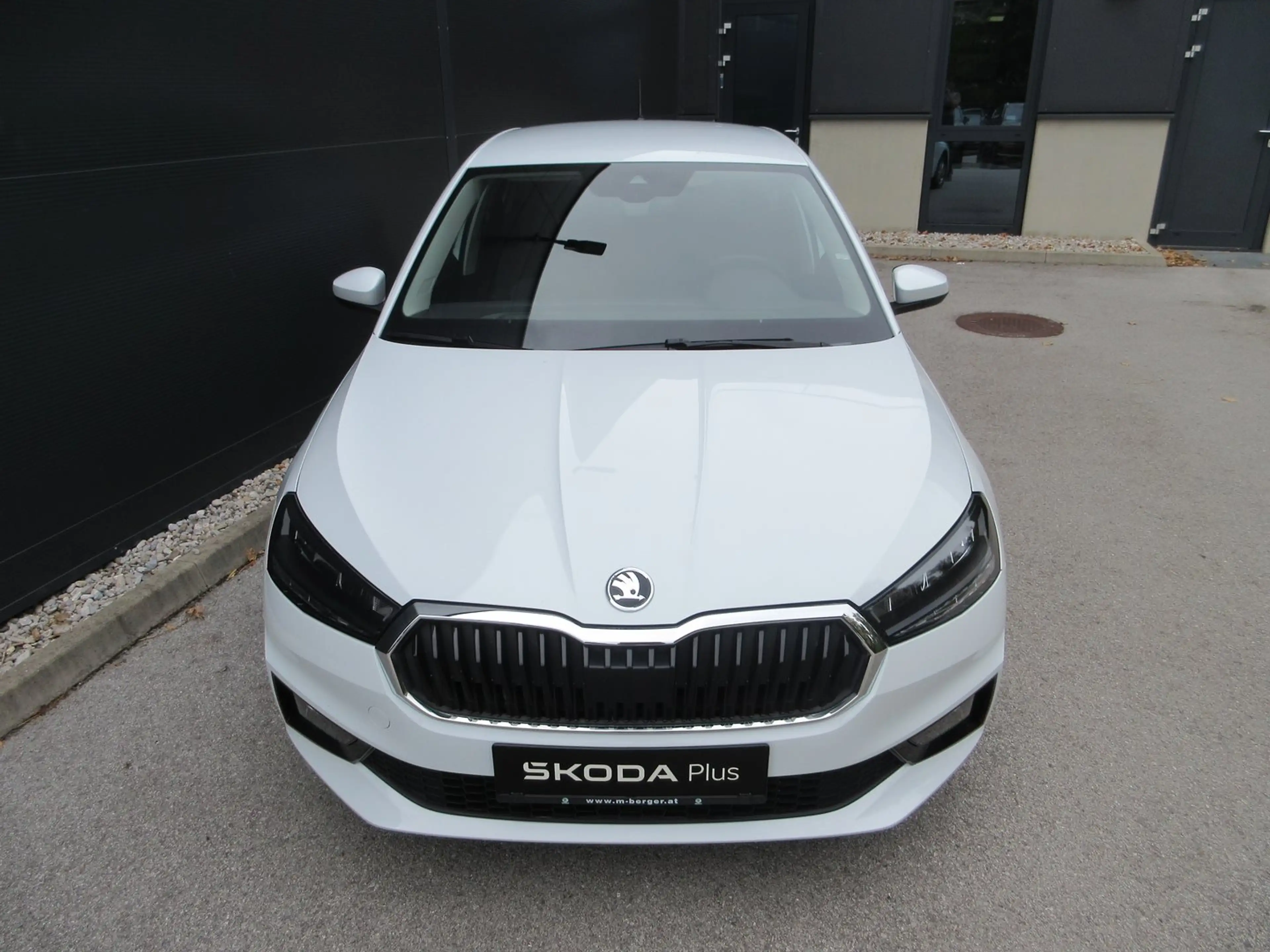 Skoda Fabia Selection TSI DSG — photo 5