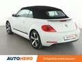 Volkswagen Beetle 1.4 TSI Club BMT *NAVI*BI-XENON*TEMPO*PDC*SHZ* Blanc - thumbnail 4