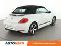 Volkswagen Beetle 1.4 TSI Club BMT *NAVI*BI-XENON*TEMPO*PDC*SHZ* Blanc - thumbnail 6