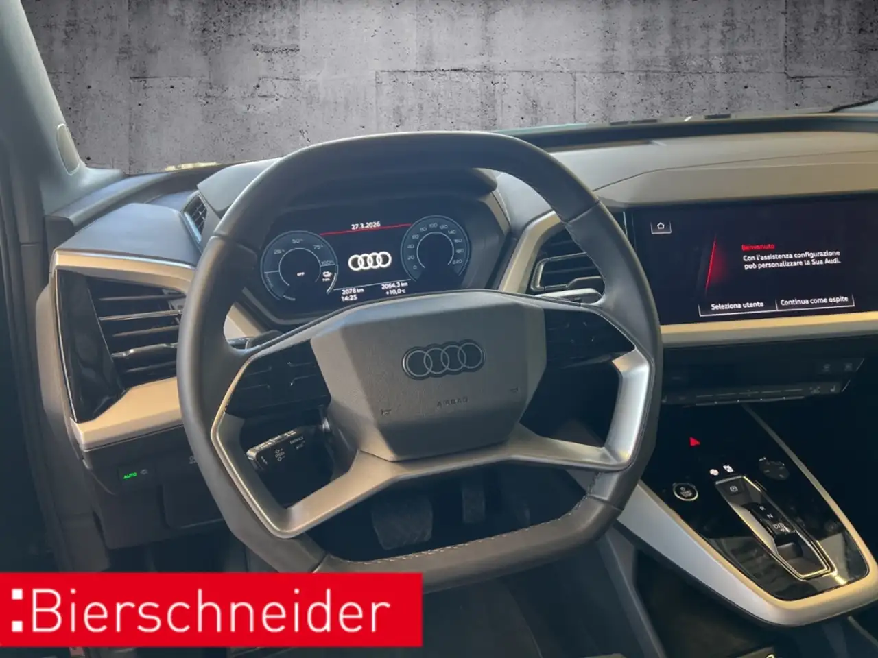 Audi Q4 e-tron Sportback 45 advanced LED 19 KAMERA S-SITZE PDC DA 8