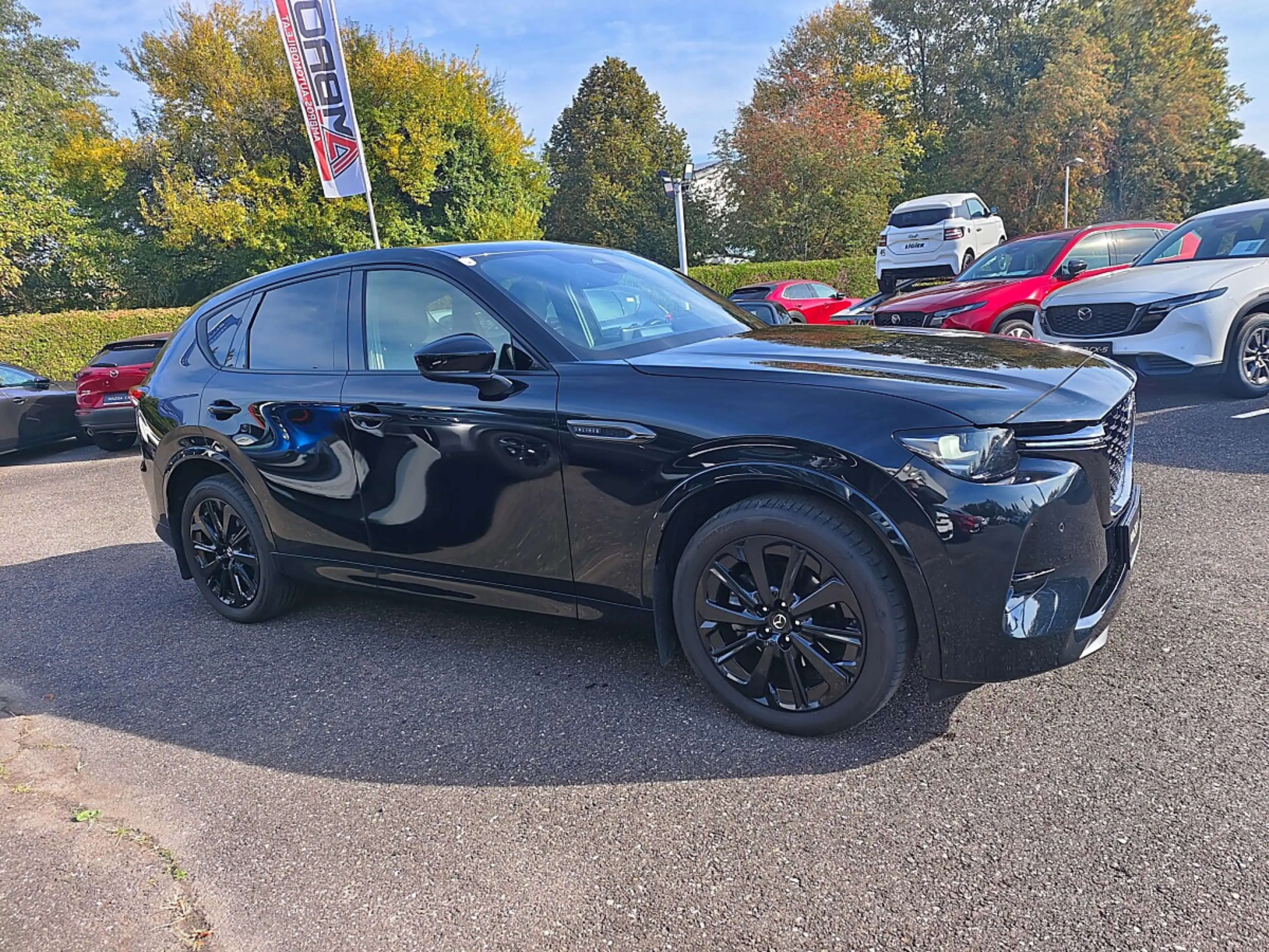 Mazda CX-60 3.3L D AWD Allrad HOMURA Automatik — photo 8