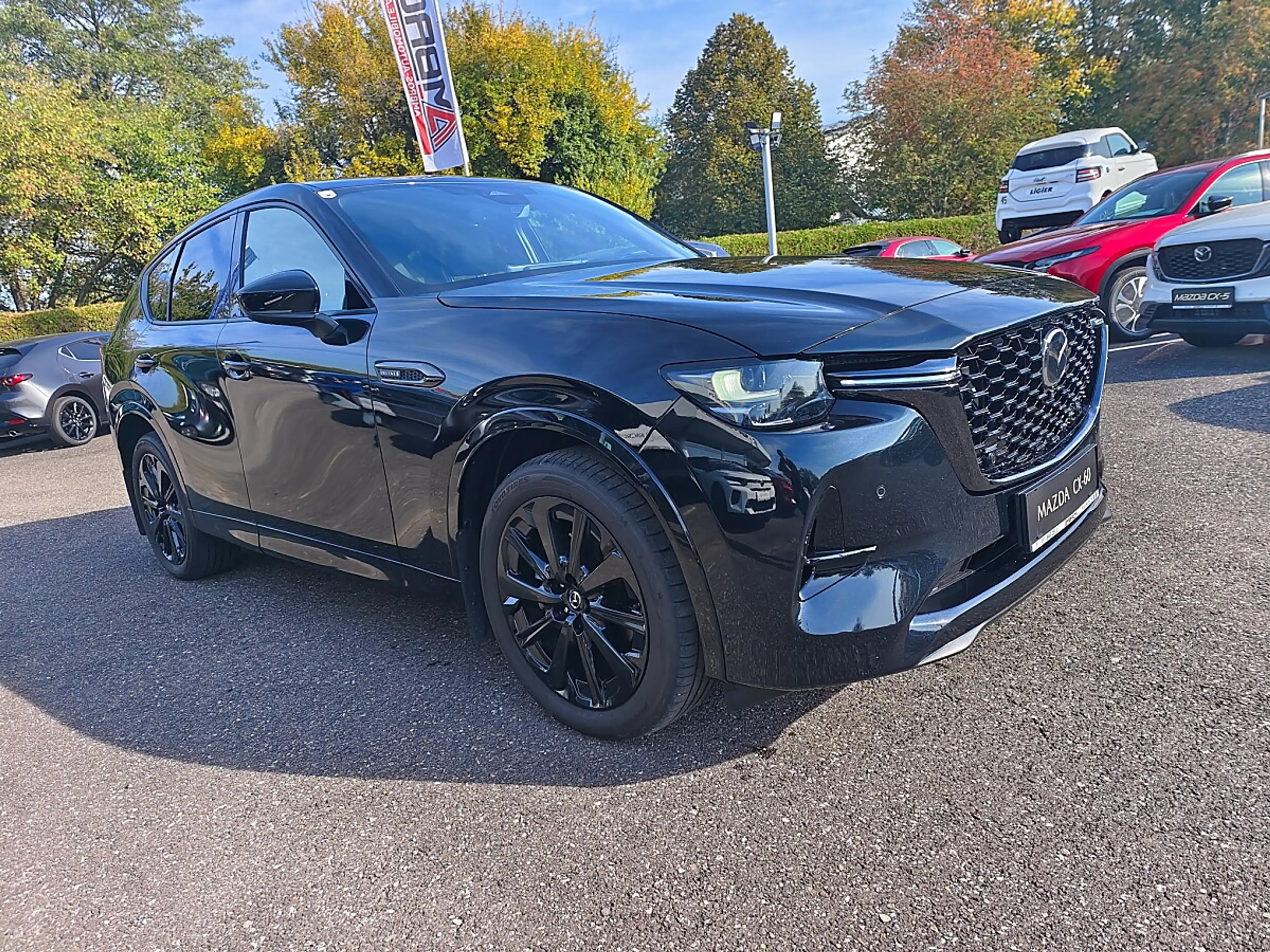 Mazda CX-60 3.3L D AWD Allrad HOMURA Automatik — photo 6