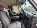 Renault Master 13 325 HT L2H2 145ch 2places-vitré (idéal VAN) Blanc - thumbnail 4